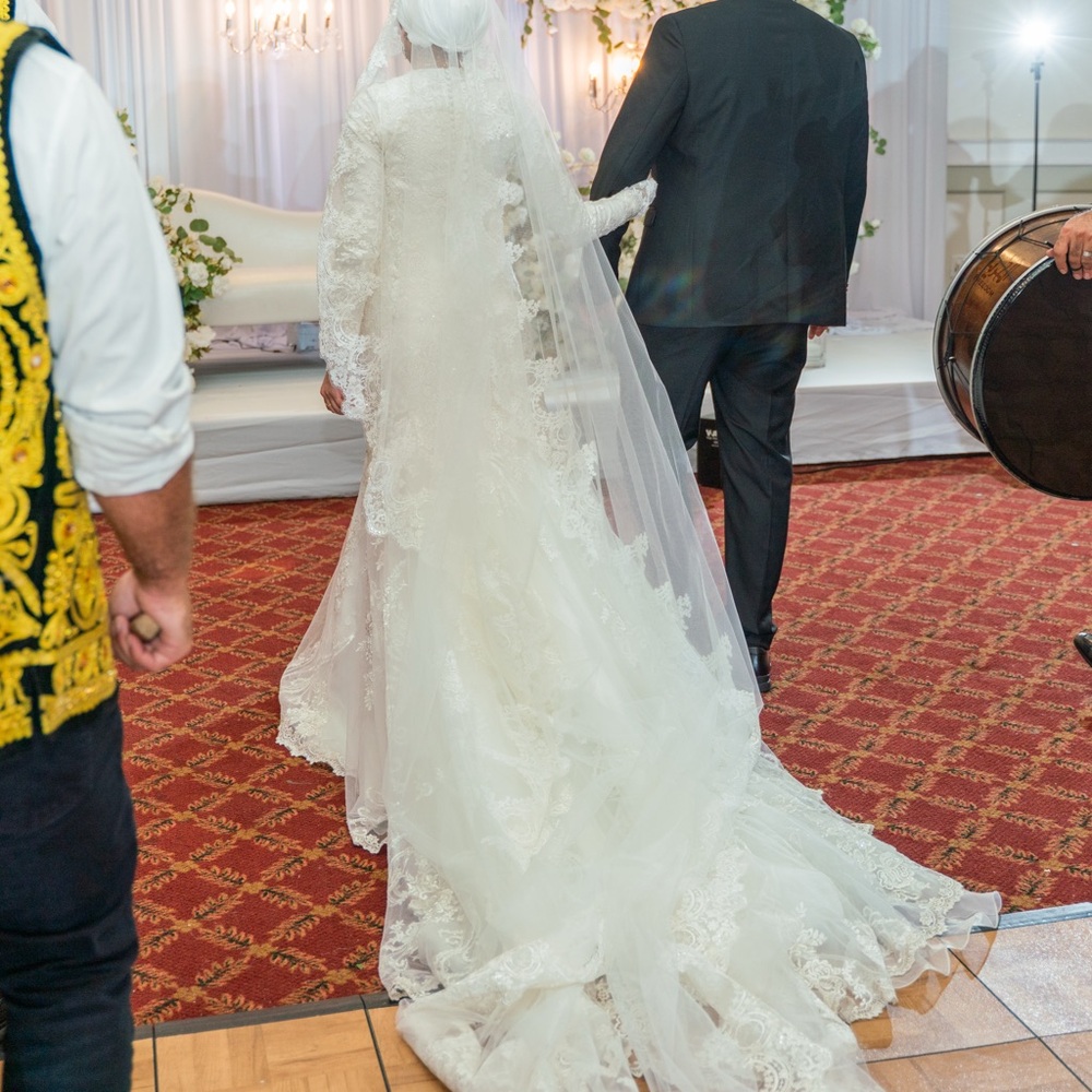 Wedding Dress - Picture 3 of 5